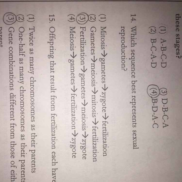 Why is 4 the correct answer to number fourteen ? Explain why please and answer this-example-1