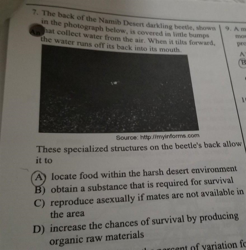 Why is it B? can you please explain why or how it is?​-example-1