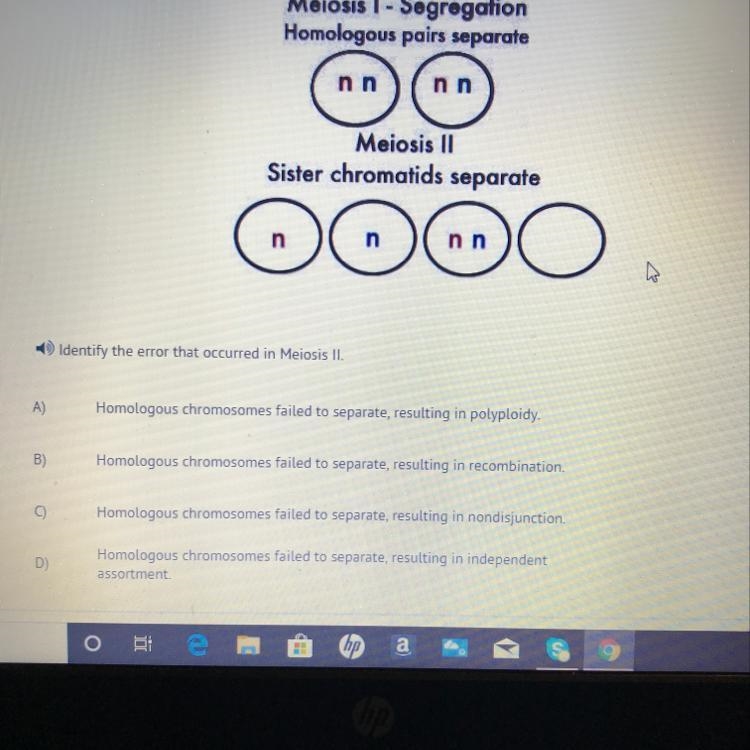 Identify the error that occurred in Meiosis II. A)Homologous chromosomes failed to-example-1