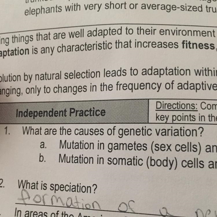 What are the causes of genetic variation-example-1