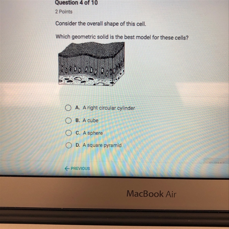 Consider the overall shape of this cell. Which geometric solid is the best model for-example-1