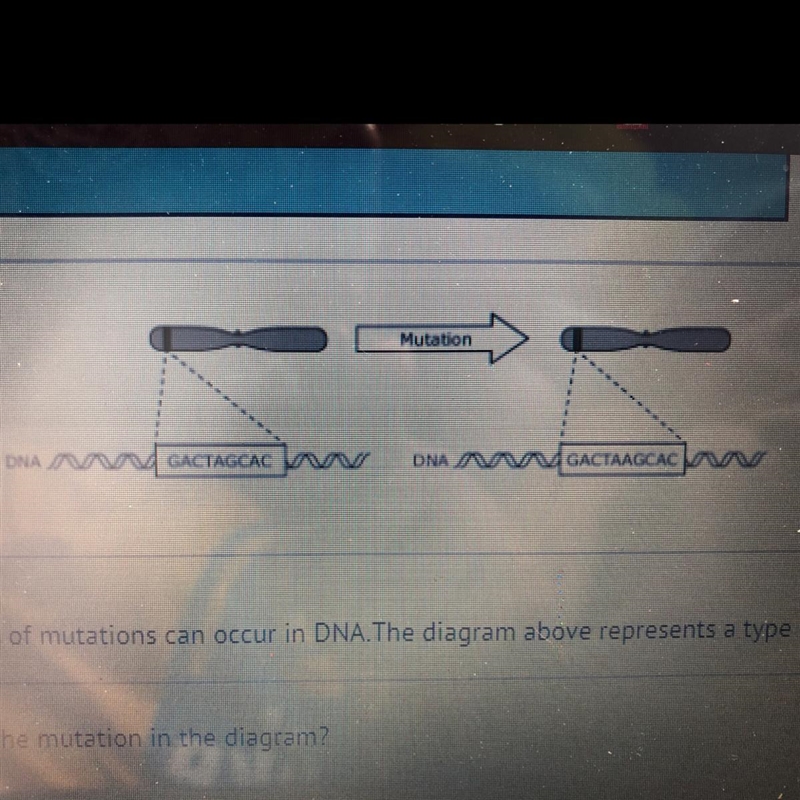 Different types of mutations can occur in DNA the diagram above represents a type-example-1