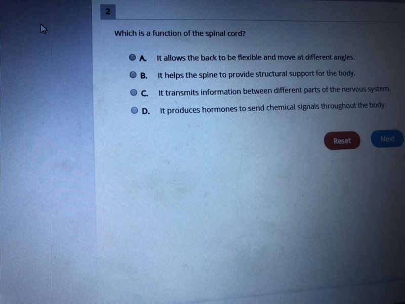 Which is a function of the spinal cord-example-1