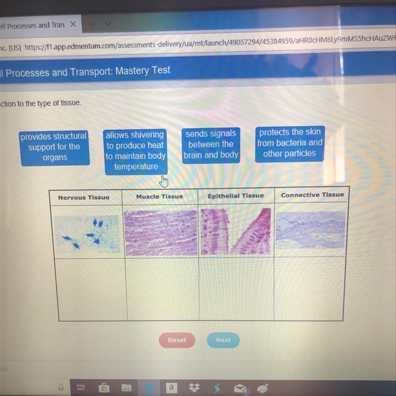 Match the function to the type of tissue-example-1