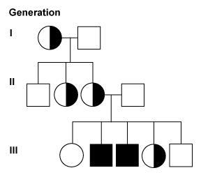 11. A red and a white snapdragon are crossed, and their offspring is pink. This is-example-1