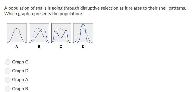 PLEASE HELP !!!!!!!!!-example-1