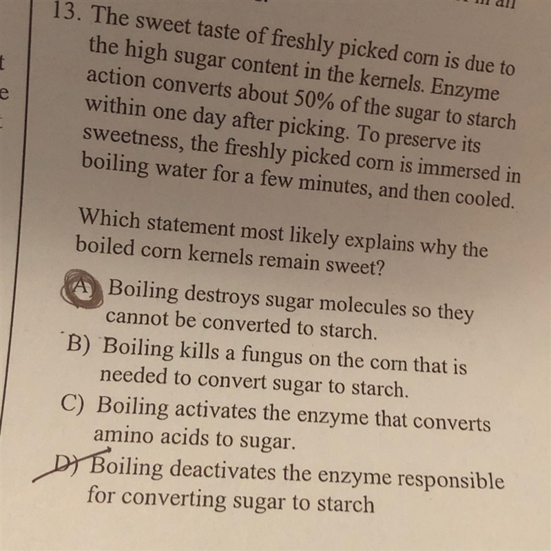 Can someone please explain why the answer is D? Thank you!-example-1