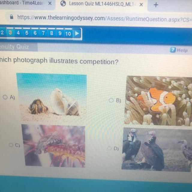 Which photograph illustrates competition? A) B) C) D)-example-1