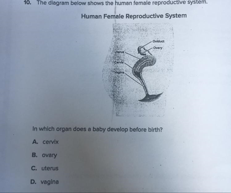 Can somebody help me out with this question because I’m really confused??-example-1