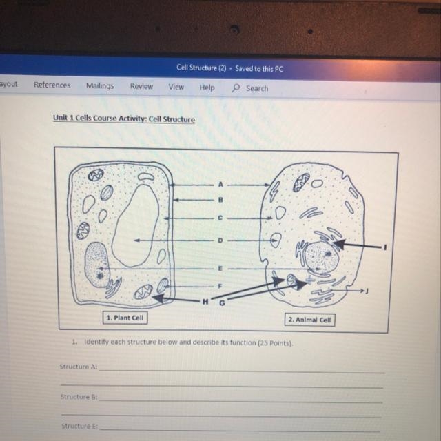 1. Identify each structure below and describe its function(25 points)!!!-example-1