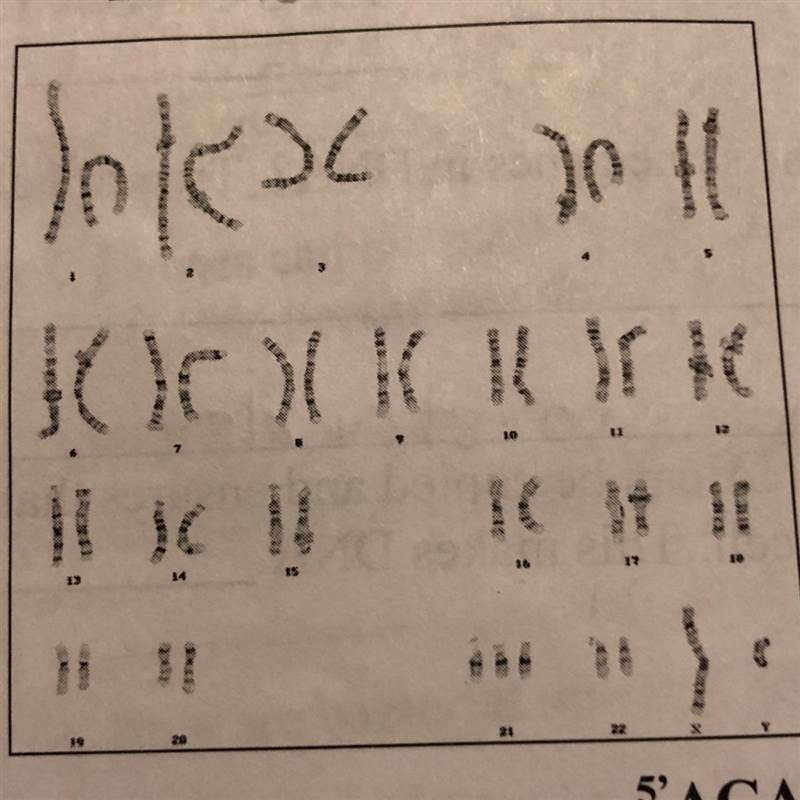 What is the diagram to the left called?-example-1