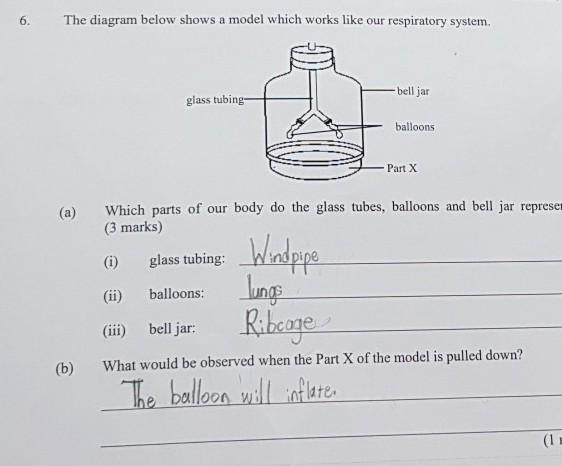 What is the answer for B? ​-example-1