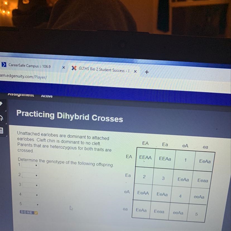 What are the genotypes to these offspring?-example-1