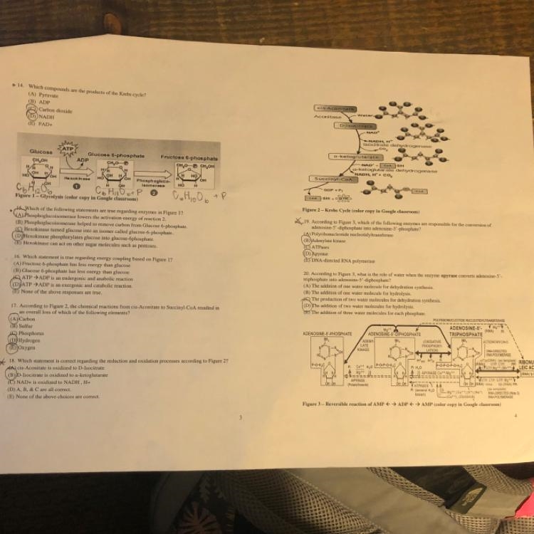 Can anyone tell me if these are right?-example-1