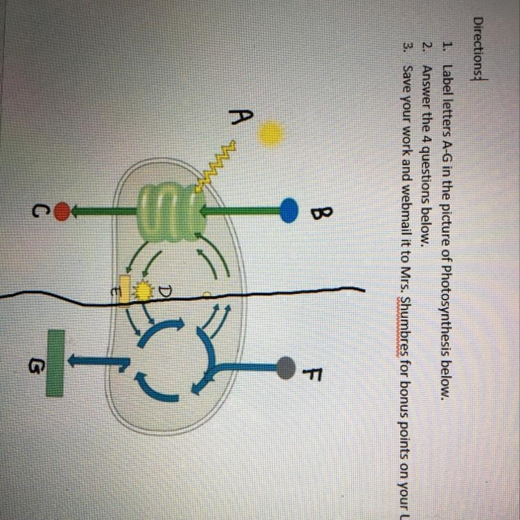 1. Label letters A-G in the picture of photosynthesis below. 2. What is the name of-example-1