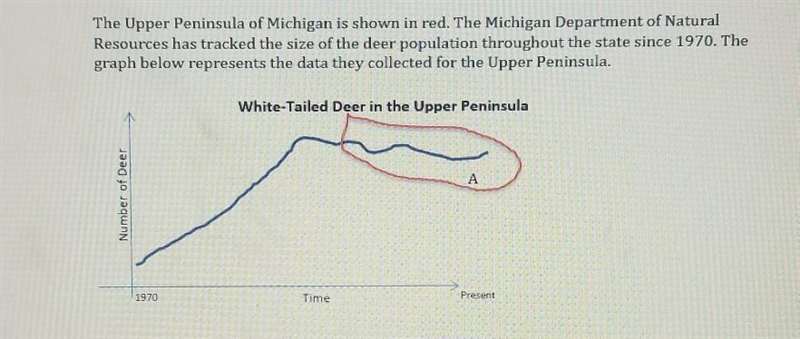 1) Based on the graph above, what might have happened to the gray wolf population-example-1