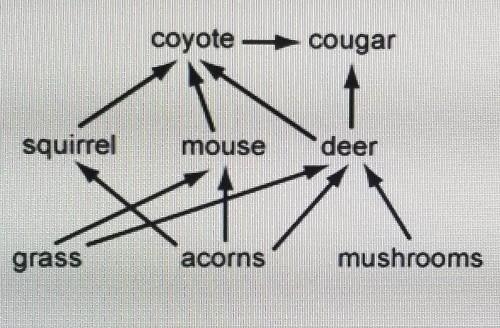 Assuming that this is a healthy eco system, which of following organisms would you-example-1