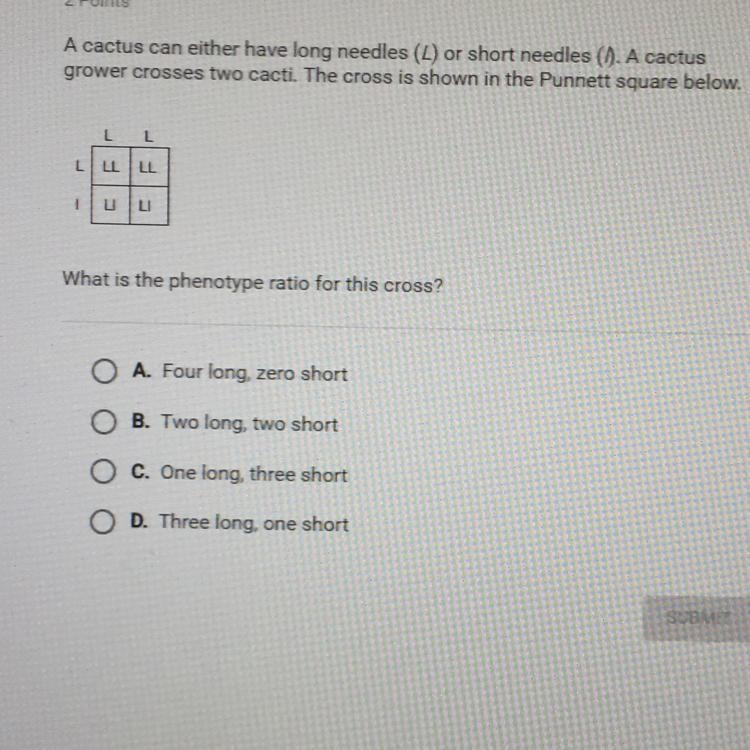 What is the phenotype ratio for this case?-example-1