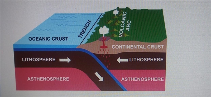 Which type of plate boundary does the image show? A. Divergent B. Convergent C. Fragmentation-example-1