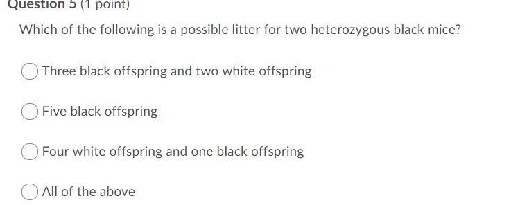 Which of the following is a possible litter for two heterozygous black mice?-example-1