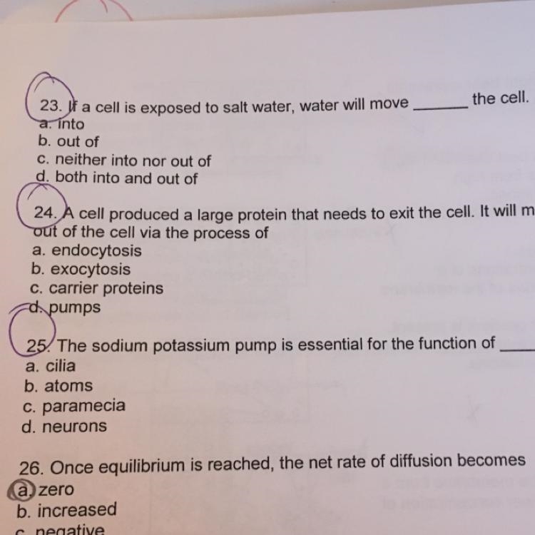 Help with 23,24,25 please-example-1