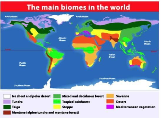 In North America, what is the largest biome present? A. Steppe B. Savanna C. Tundra-example-1