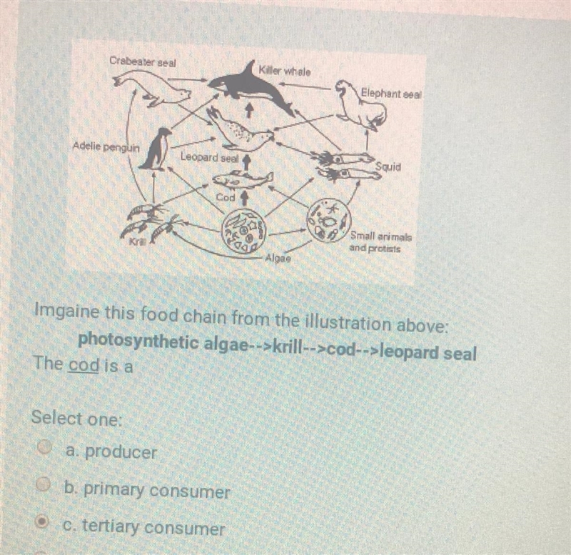 I did not understand anything about that so I need help-example-1