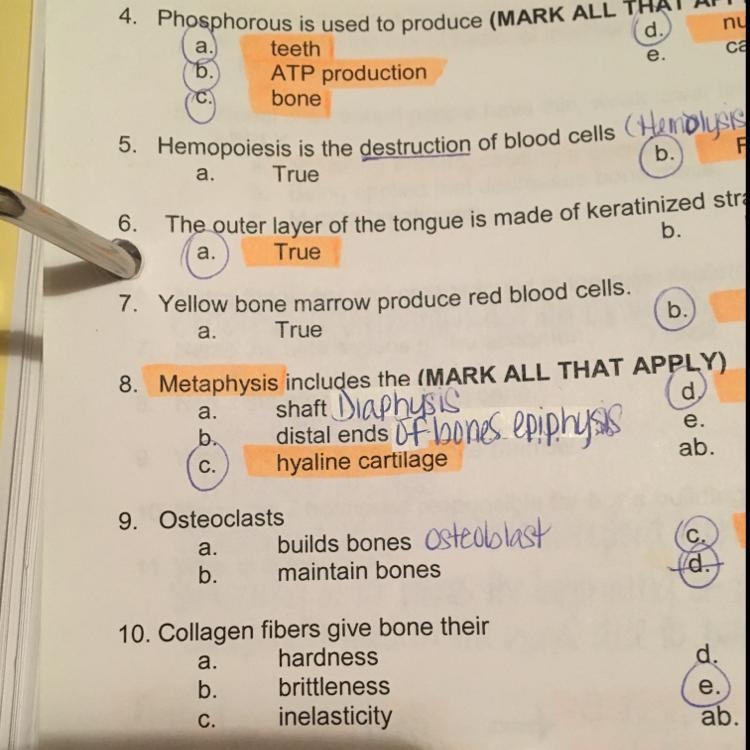 College fibers give bone their?-example-1