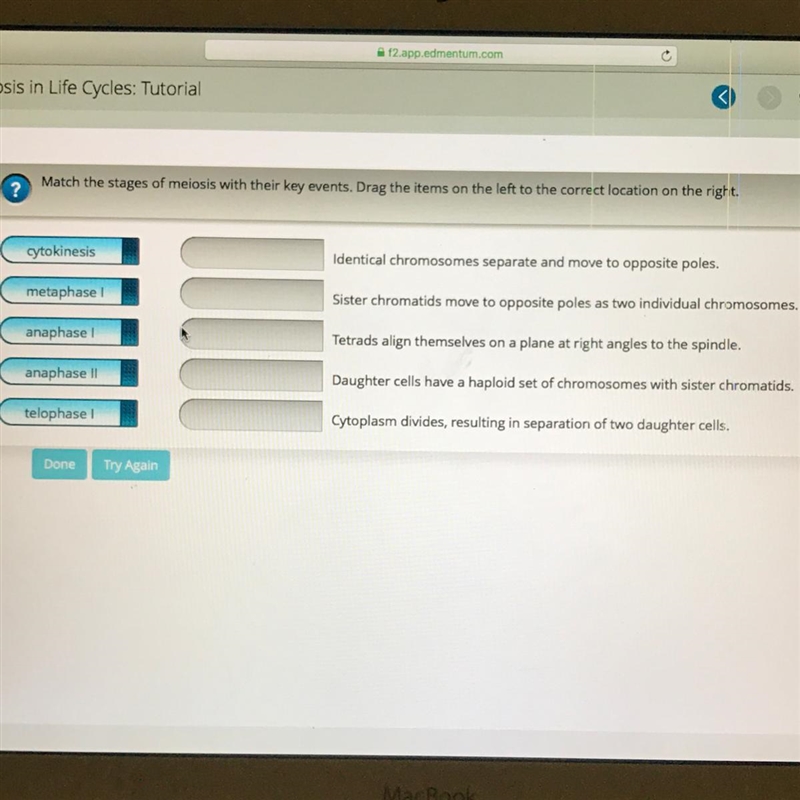 Match the stages with the right definition-example-1