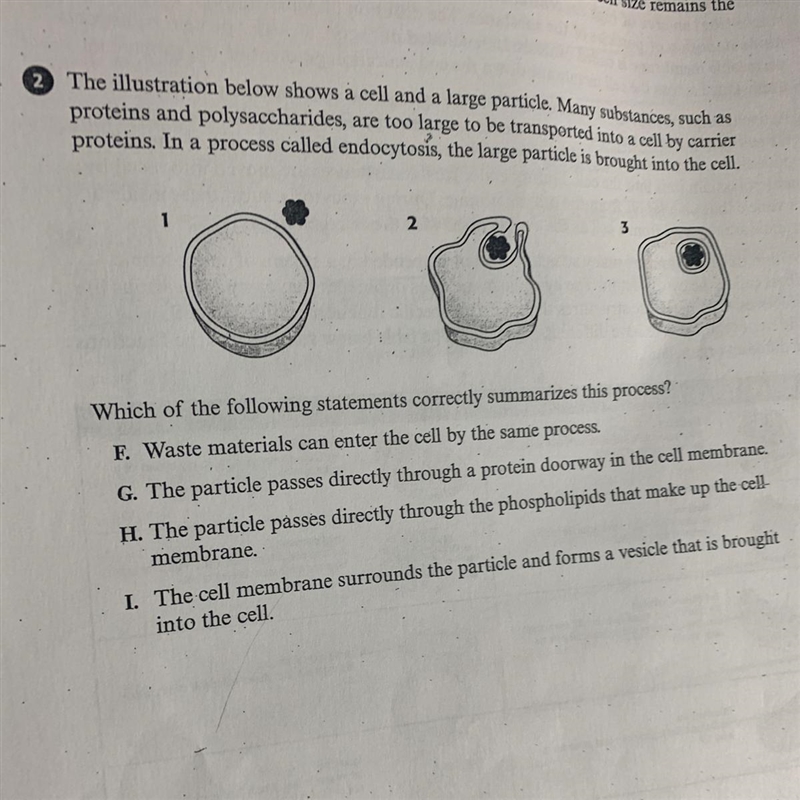 I need help with my Homework plz-example-1