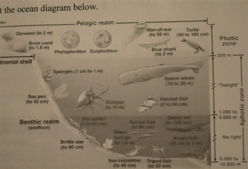 (20 points)The continental shelf may extend 10-50 miles away from shore. Would you-example-1