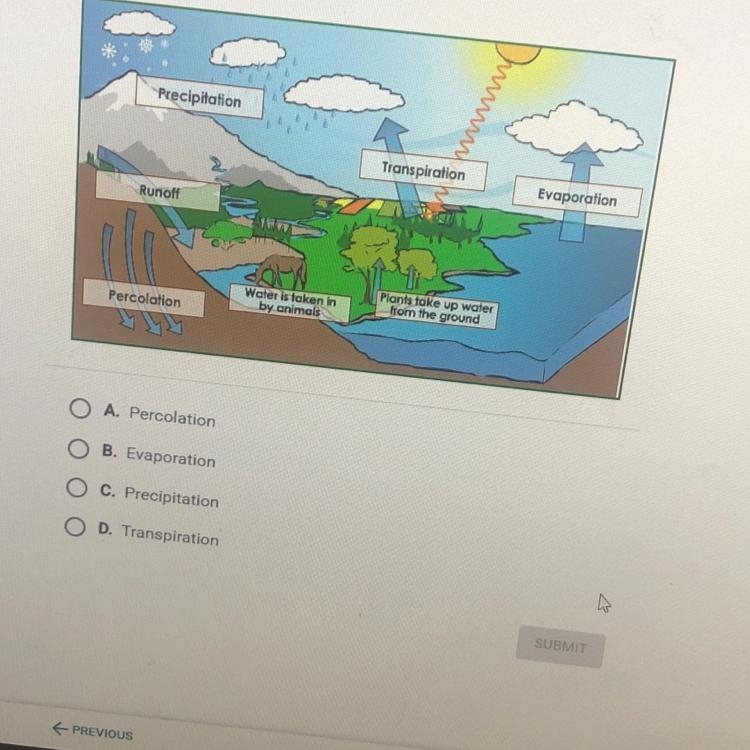 In which step of the water cycle does most of earth’s water enter the atmosphere?-example-1