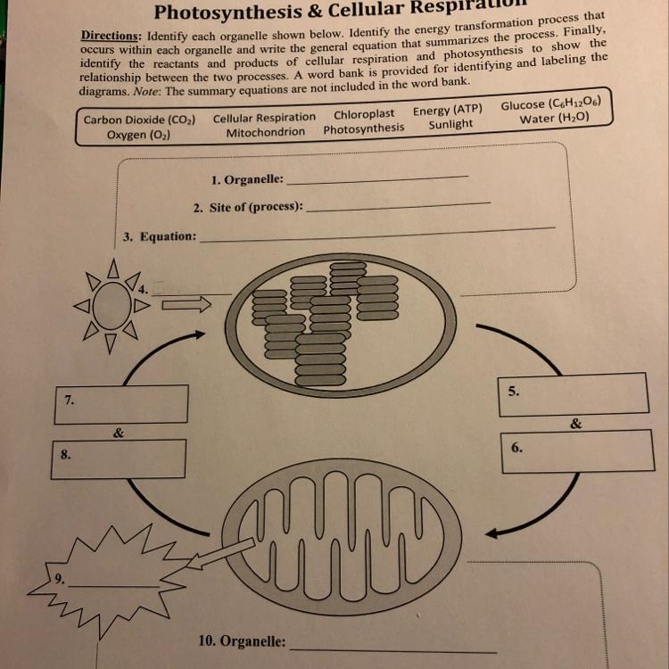 How do u do this paper?-example-1