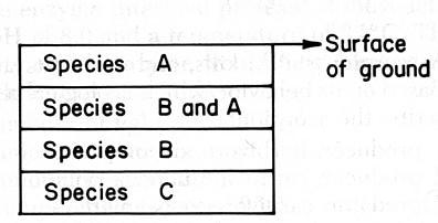 25. The diagram below represents a section of undisturbed layers of sedimentary rock-example-1