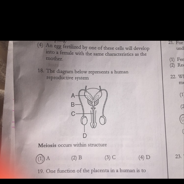 Why is 4 the correct answer to number 18 ? Explain why please and answer this !!-example-1