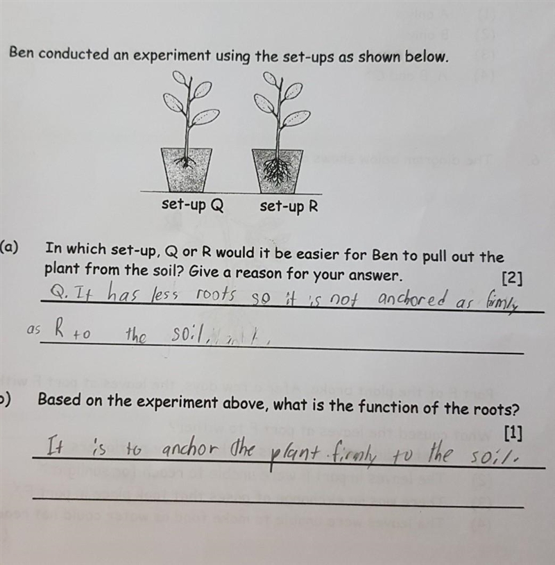 Are the answers acceptable? ​-example-1