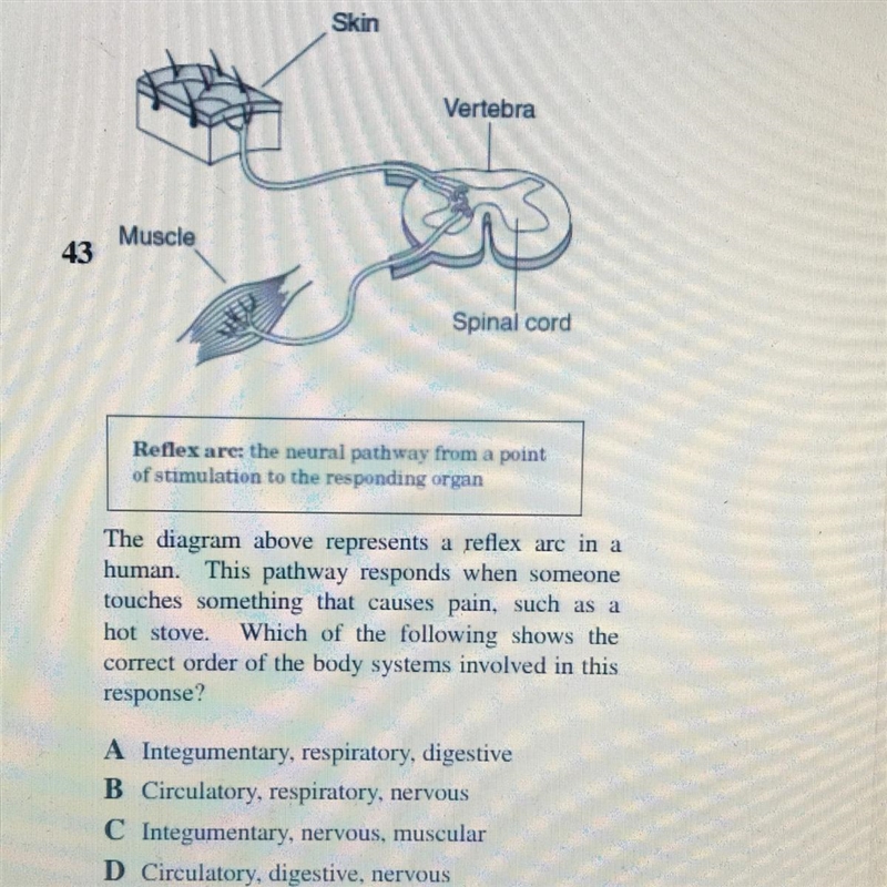 Please I need help I will give 20 points-example-1