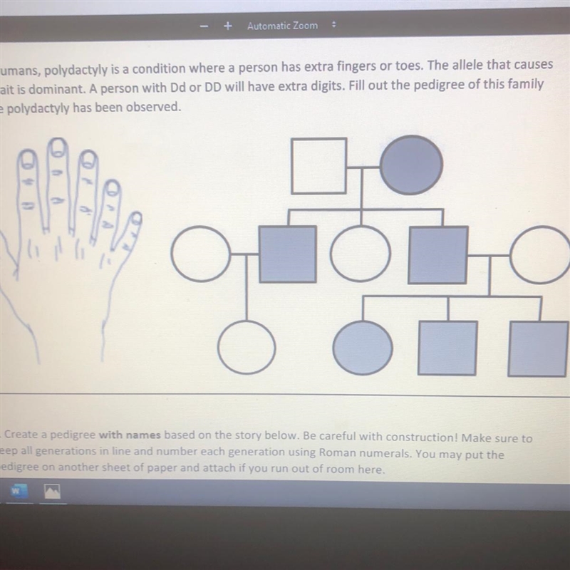 50 POINTS HELP FRFR 4. In humans, polydactyly is a condition where a person has extra-example-1