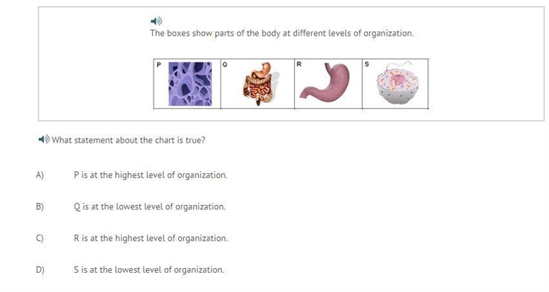 The boxes show parts of the body at different levels of organization. What statement-example-1