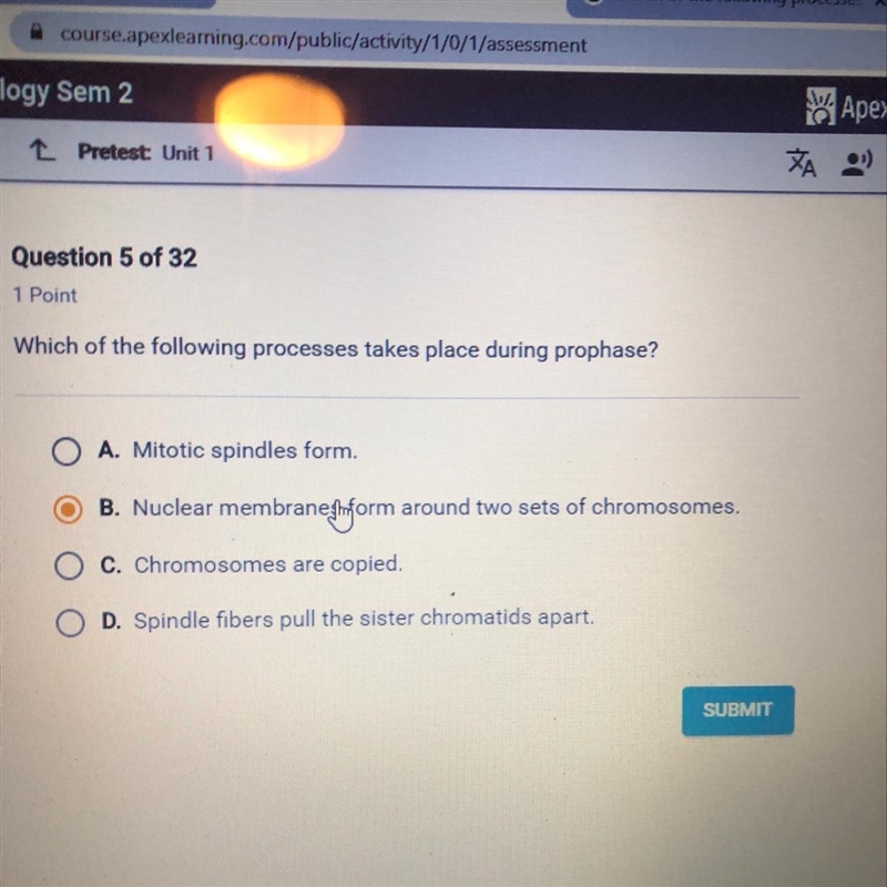 Which of the following processes takes place during prophase? A. Mitotic spindles-example-1