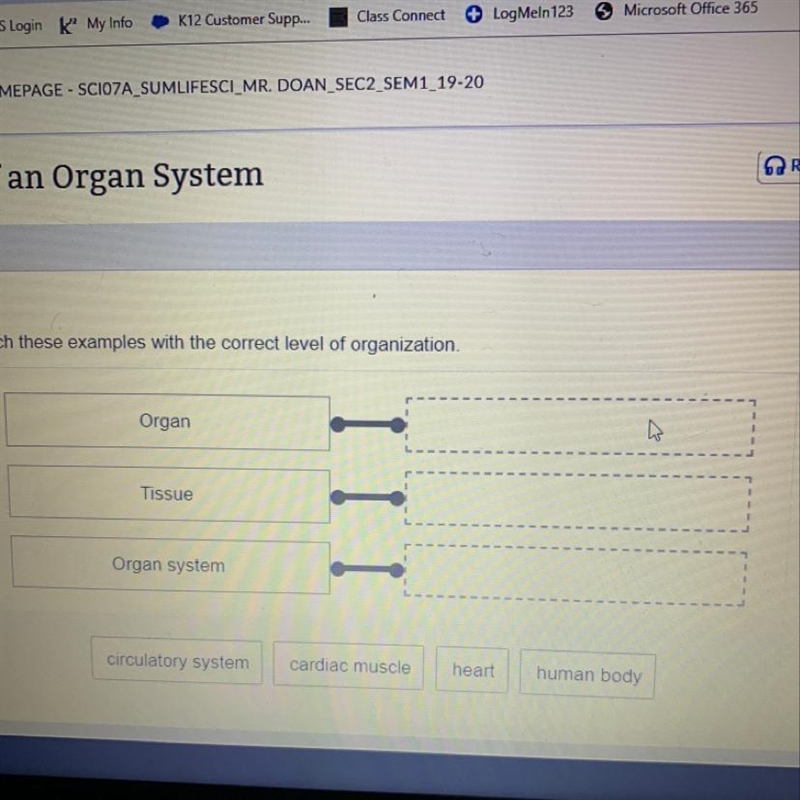 Match these examples with the correct level of organization Organ Tissue Organ system-example-1