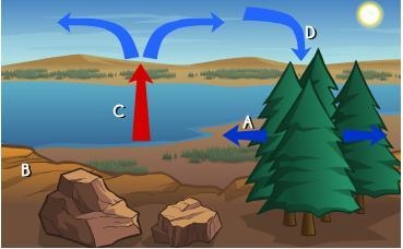 Please help ASAP In which location would an observer experience wind? A. location-example-1