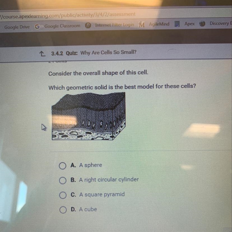 Consider the overall shape of this cell. Which geometric solid is the best model for-example-1