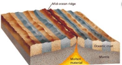 The NEWEST seafloor is located? A) Closest to the mid-ocean ridge B) Farthest from-example-1