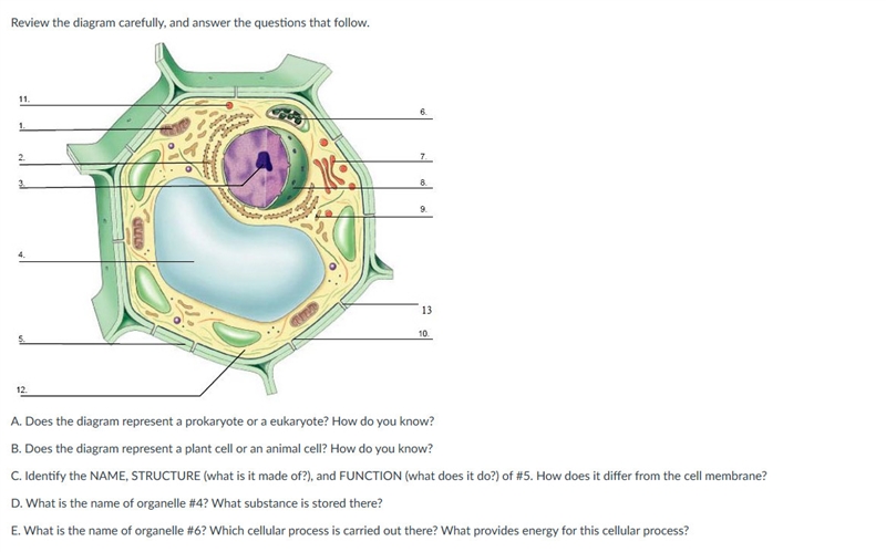 Review the diagram carefully, and answer the questions that follow. > PLEASE I-example-1