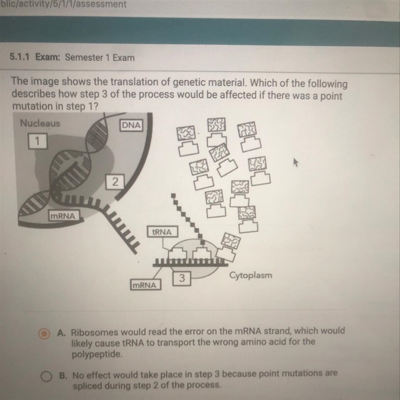 Desperate !! Please answer !! The image shows the translation of genetic material-example-1