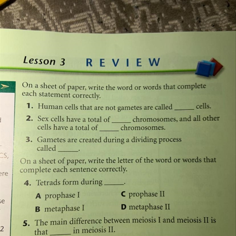 Human cells that are not gametes are called ___ cells.-example-1