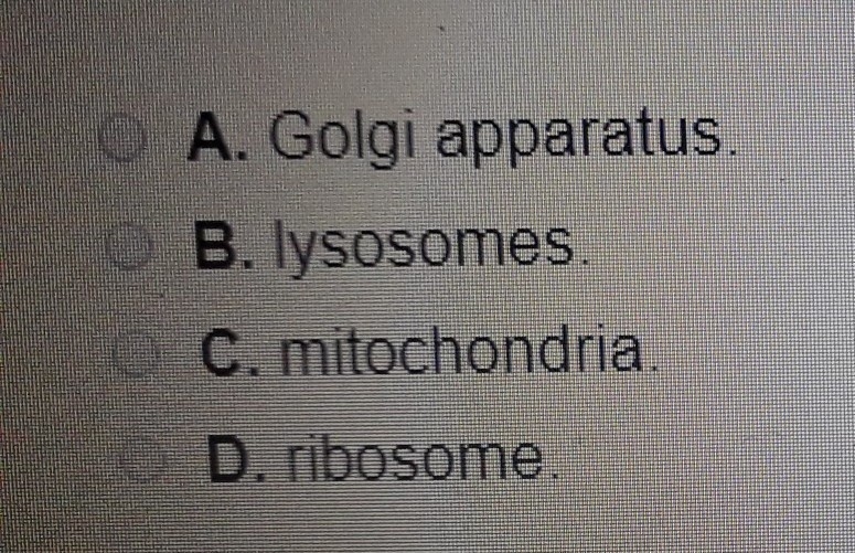 The organelle responsible for recieving,packaging, and shipping proteins is called-example-1