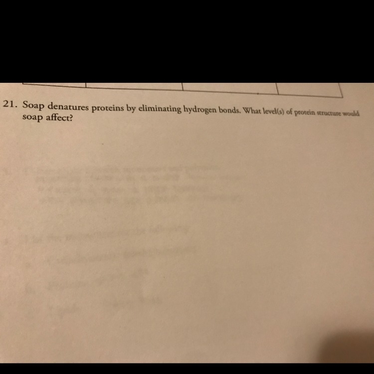 What levels of protein structure would soap affect ?-example-1