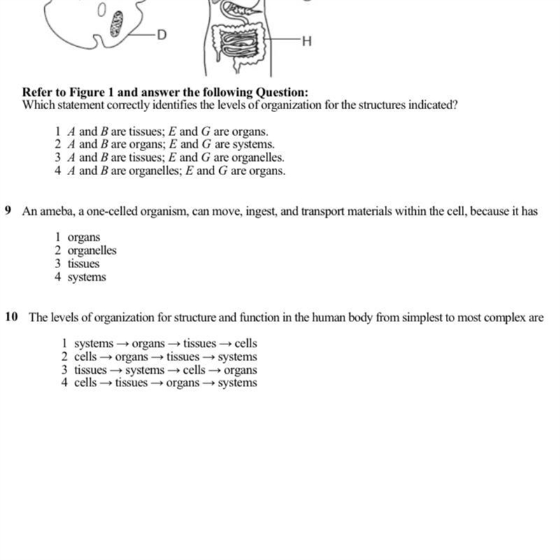 Just need help with 9 and 10 thanks-example-1